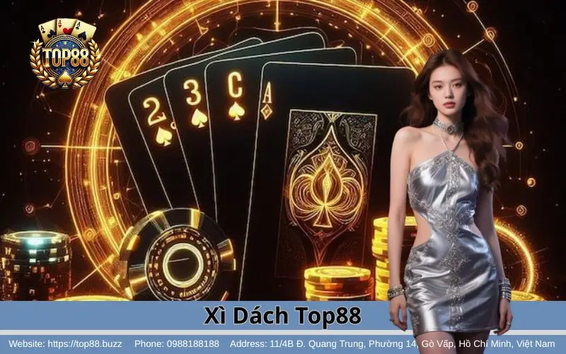 xi dach top88