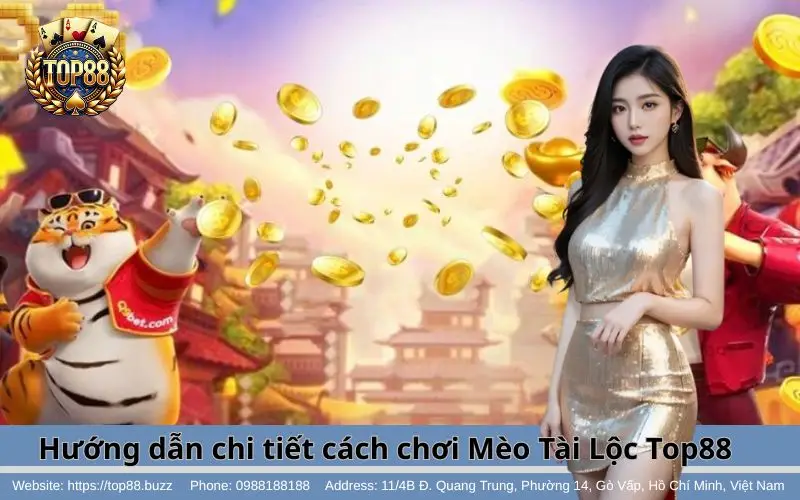 Mèo Tài Lộc Slots - Săn nổ hũ & hốt bạc nhanh chóng 4 Hướng dẫn tân thủ tham gia chơi Mèo Tài Lộc Top88