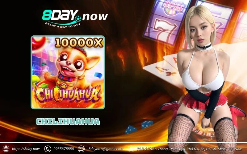 CHILIHUAHUA Slots 8Day - Quay hũ Mexico, thưởng cực cay 1 chilihuahua 8day
